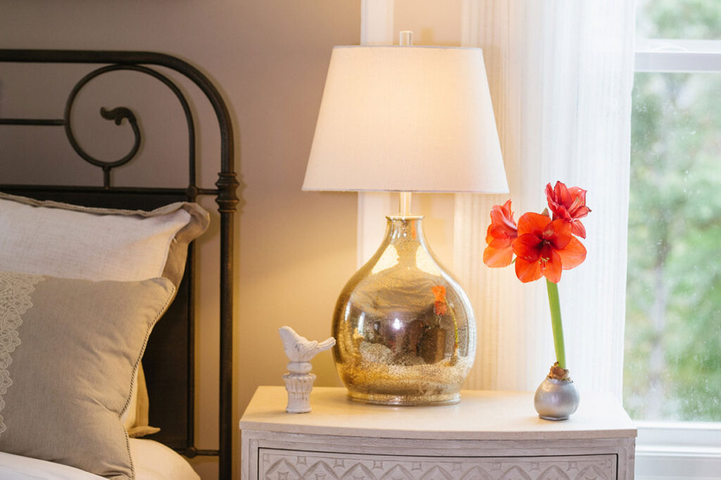 Bloomaker waxed Red Lion Amaryllis in a bedroom setting