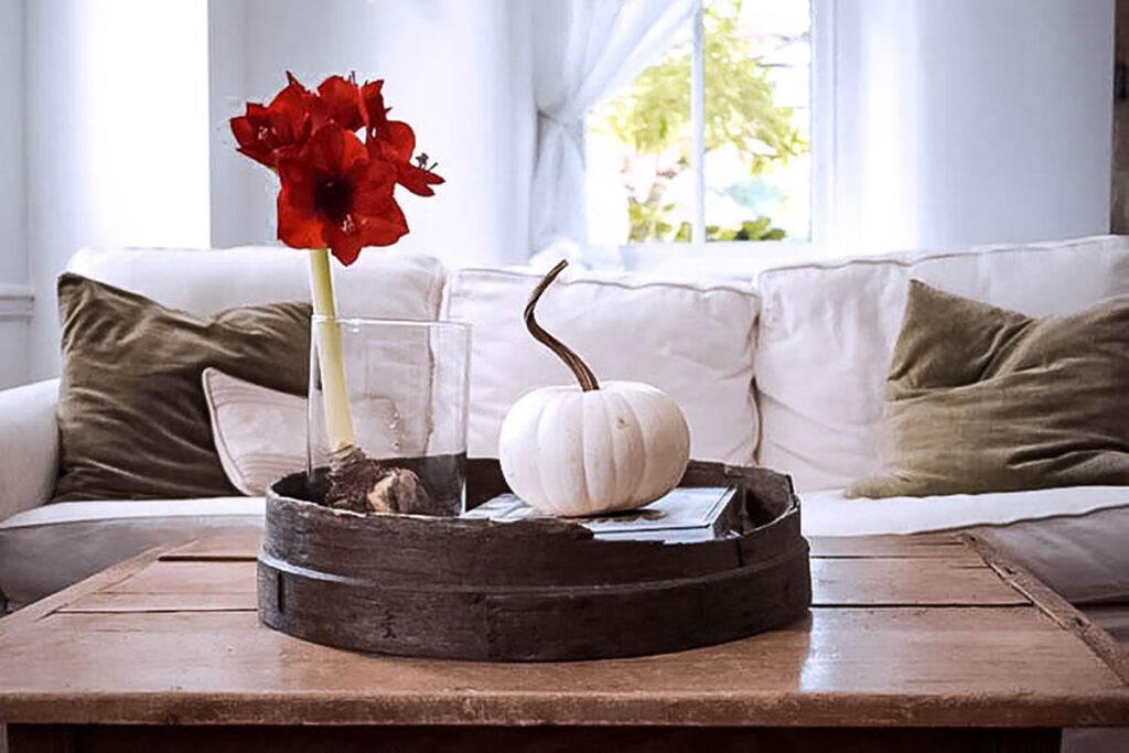 Picture of a Bloomaker Red Lion Amaryllis by @farmhouse1873